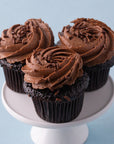 Gluten-Free Mini Fudge Cupcakes - 12